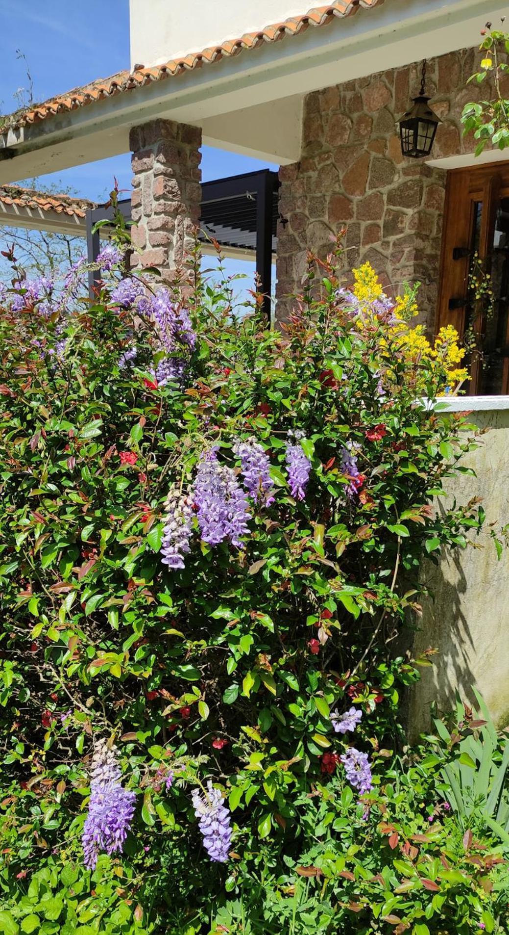 コンフォラン 13 Bees Bed & Breakfast エクステリア 写真