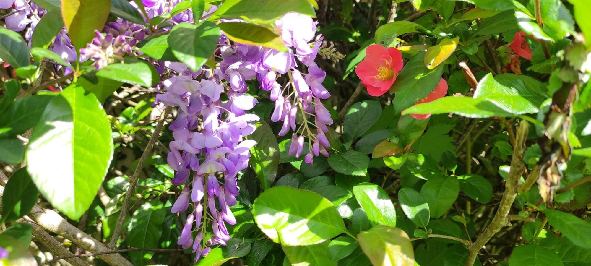 コンフォラン 13 Bees Bed & Breakfast エクステリア 写真