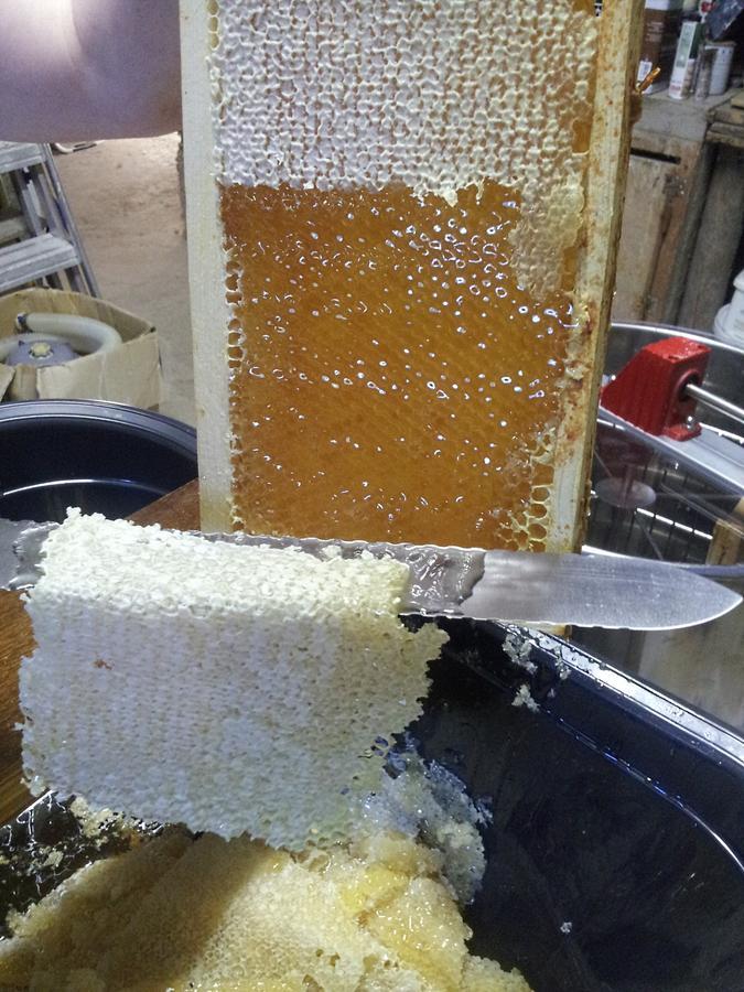 コンフォラン 13 Bees Bed & Breakfast エクステリア 写真